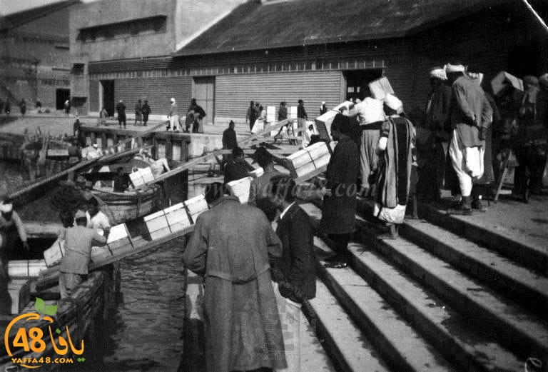 يعود تاريخها لما قبل عام 1940 - صور نادرة من داخل مرفأ ميناء يافا 